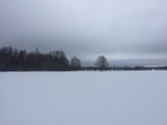 Снежный покров в Московской области. Наша оценка на 31 января. 