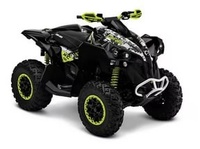 Защита днища для квадроцикла BRP Renegade