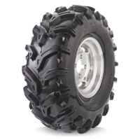 Шины для квадроцикла Deestone D932 Swamp Witch (ведьма)