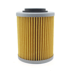 Фильтр масляный для квадроцикла ODES Pathcross (Mud Pro) Desertcross 1000-3 и снегохода ODES Snowcross 1000 SWT 21040111601 420256188N FS-255