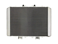 Радиатор охлаждения квадроцикла Odes 1000 21170101501 21170101502