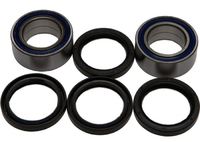 Подшипник ступицы задний квадроцикла Arctic Cat 0402-003 25-1433