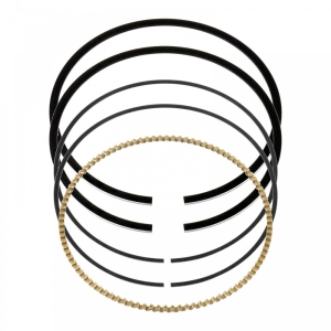 Кольца поршневые STD для квадроцикла Yamaha Grizzly Rhino 660 02-08 2С6-11603-10-00