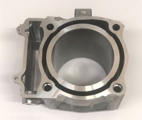 Цилиндр двигателя квадроцикла Yamaha Grizzly 700 Kodiak 700 Wolverine 700 2MB-E1311-00-00