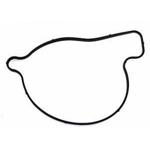 Прокладка помпы неоригинальная для BRP Can-Am 420651190N