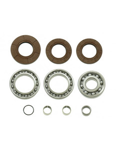 Ремкомплект заднего редуктора Polaris 25-2080 AT-03A35